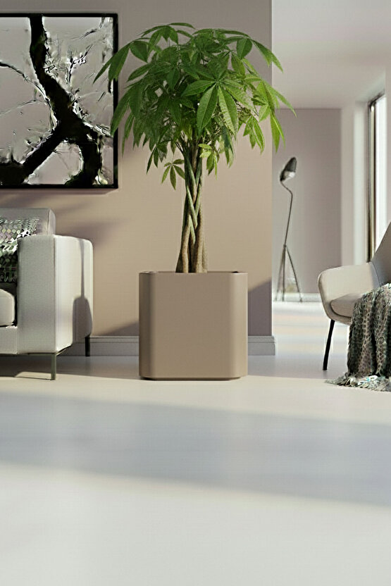 Aura Softbox 30x35cm Fiber Soft-Küp Saksı - Mat - Büyük Saksı - Fiberglass saksı