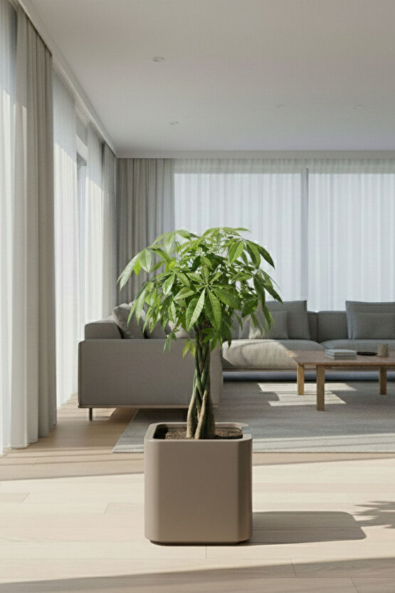 Aura Softbox 30x35cm Fiber Soft-Küp Saksı - Mat - Büyük Saksı - Fiberglass saksı