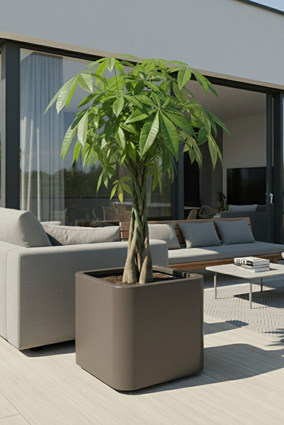 Aura Softbox 30x35cm Fiber Soft-Küp Saksı - Mat - Büyük Saksı - Fiberglass saksı