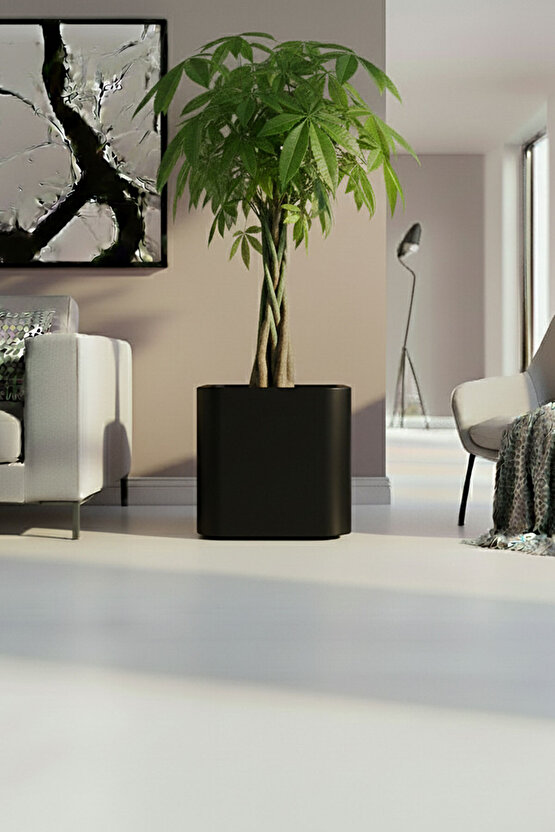 Aura Softbox 30x35cm Fiber Soft-Küp Saksı - Mat - Büyük Saksı - Fiberglass saksı