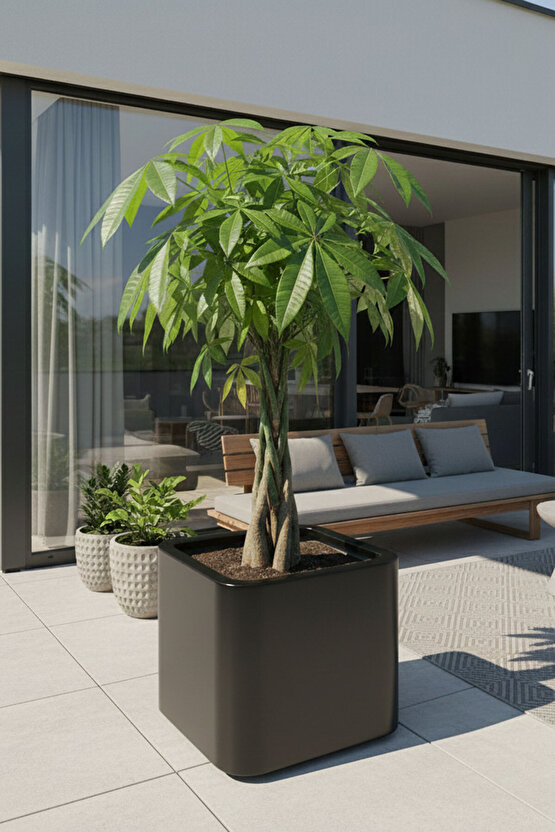 Aura Softbox 30x35cm Fiber Soft-Küp Saksı - Mat - Büyük Saksı - Fiberglass saksı