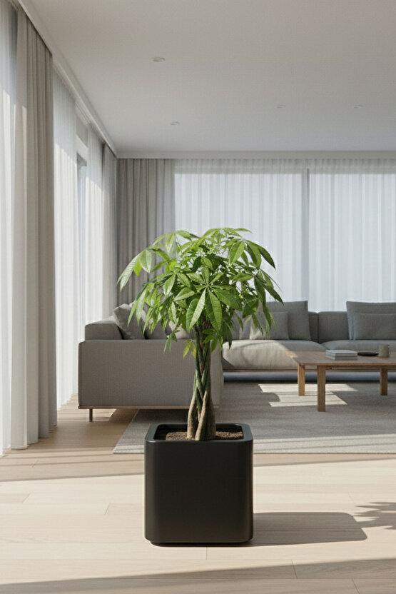 Aura Softbox 30x35cm Fiber Soft-Küp Saksı - Mat - Büyük Saksı - Fiberglass saksı