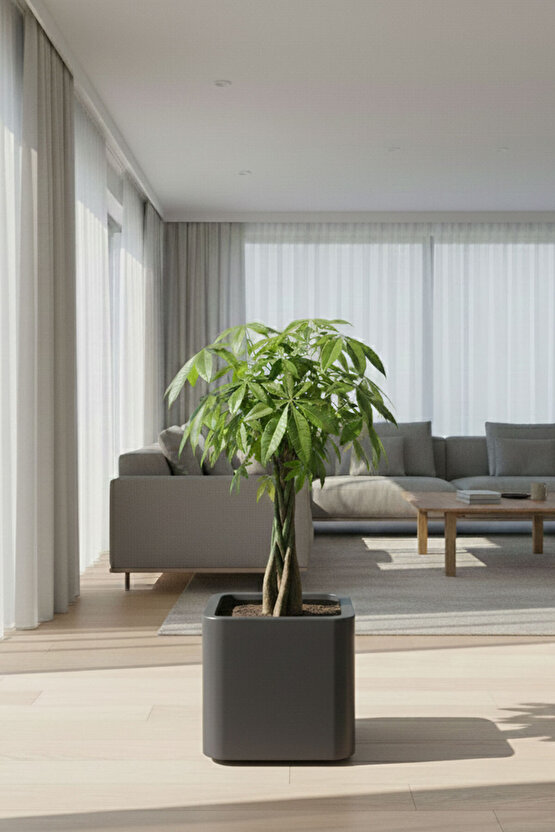 Aura Softbox 30x35cm Fiber Soft-Küp Saksı - Mat - Büyük Saksı - Fiberglass saksı