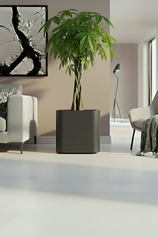 Aura Softbox 30x35cm Fiber Soft-Küp Saksı - Mat - Büyük Saksı - Fiberglass saksı