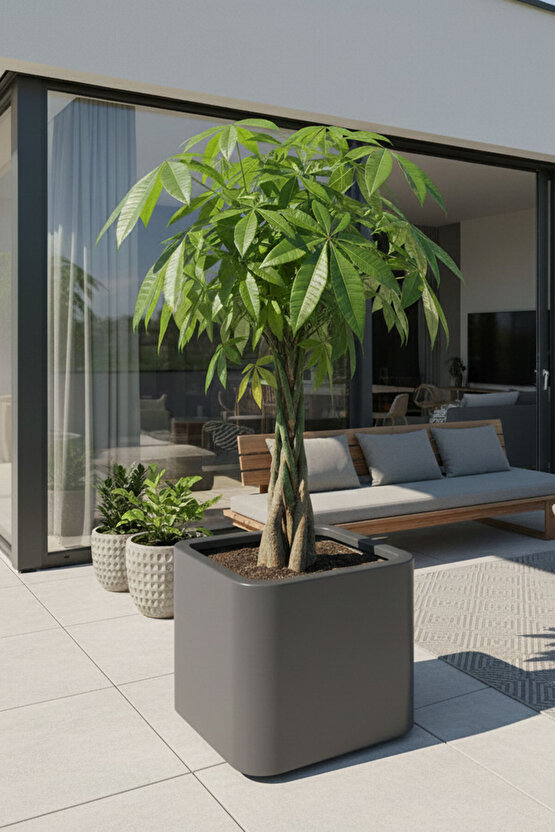 Aura Softbox 30x35cm Fiber Soft-Küp Saksı - Mat - Büyük Saksı - Fiberglass saksı