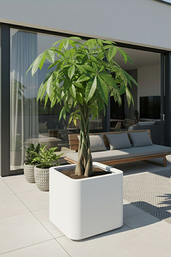 Aura Softbox 30x35cm Fiber Soft-Küp Saksı - Mat - Büyük Saksı - Fiberglass saksı