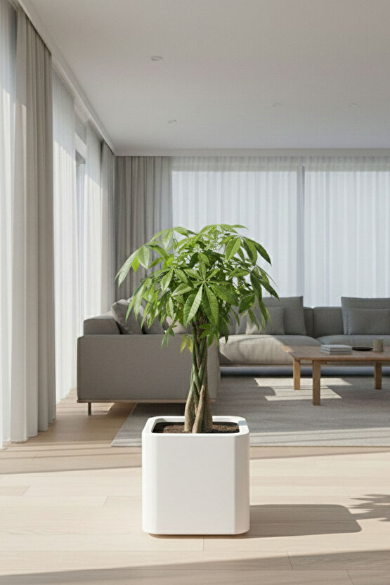 Aura Softbox 30x35cm Fiber Soft-Küp Saksı - Mat - Büyük Saksı - Fiberglass saksı