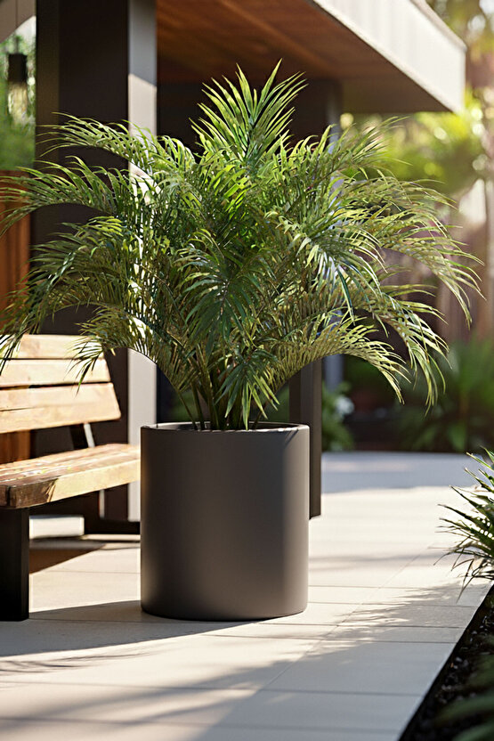 Aura Cylindro 40x30cm Fiber Silindir Saksı - Mat - Büyük Saksı - Üst Açıklık 24cm