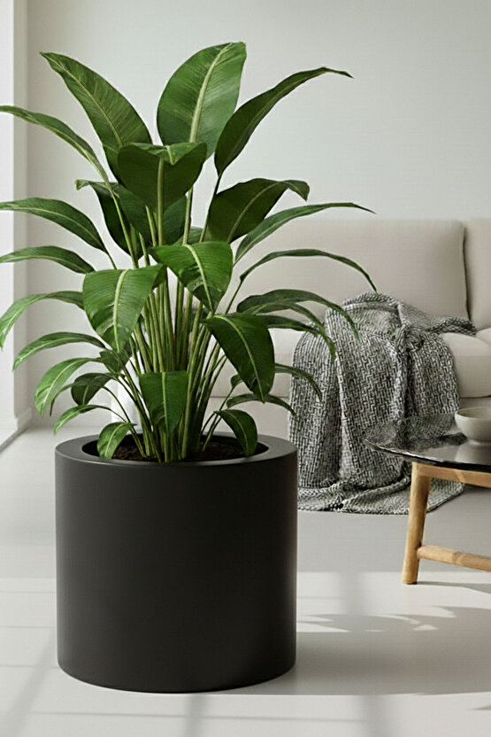 Aura Cylindro 40x40cm Fiber Silindir Saksı - Mat - Büyük Saksı - Üst Açıklık 32cm