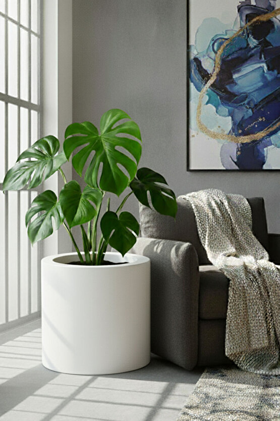 Aura Cylindro 40x40cm Fiber Silindir Saksı - Mat - Büyük Saksı - Üst Açıklık 32cm