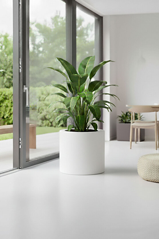 Aura Cylindro 40x40cm Fiber Silindir Saksı - Mat - Büyük Saksı - Üst Açıklık 32cm