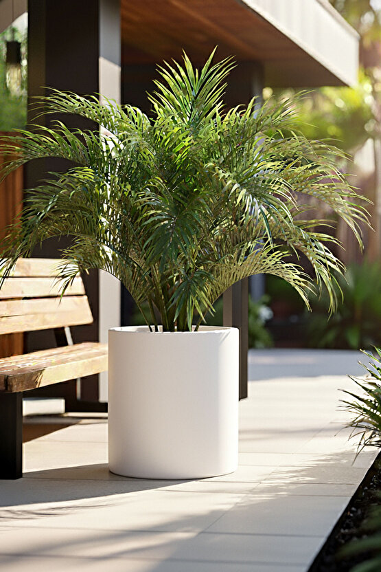 Aura Cylindro 50x40cm Silindir Fiberglas Saksı Büyük Saksı Mat İç Mekan Dış Mekan