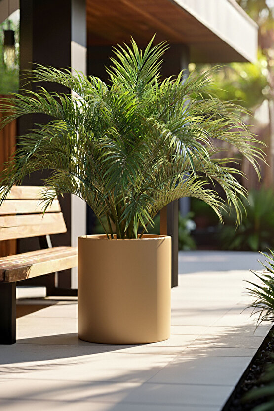 Aura Cylindro 50x40cm Silindir Fiberglas Saksı Büyük Saksı Mat İç Mekan Dış Mekan