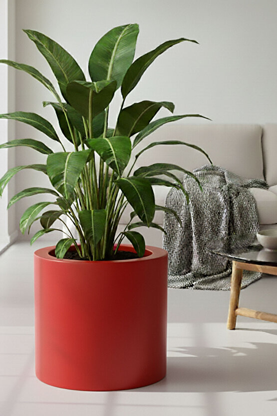 Aura Cylindro 50x50cm Fiber Silindir Saksı - Mat - Büyük Saksı - Üst Açıklık 42cm