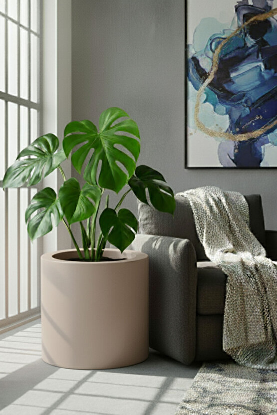 Aura Cylindro 50x50cm Fiber Silindir Saksı - Mat - Büyük Saksı - Üst Açıklık 42cm