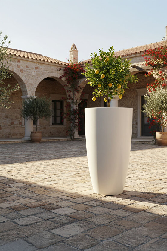 Aura Curva 70x40cm Kıvrımlı Konik Fiberglass Saksı Büyük Boy İç Dış Mekan Dış Mekan