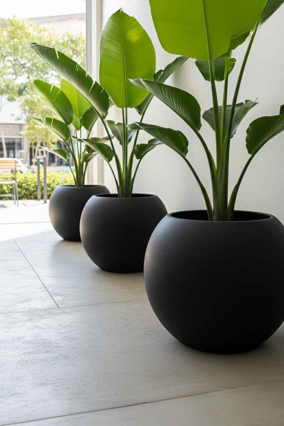 Aura Sphere Fiber Küre Saksı - Çap 50cm x Yükseklik 40cm Orta Boy