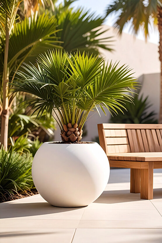 Aura Sphere Fiber Küre Saksı - Çap 50cm x Yükseklik 40cm Orta Boy