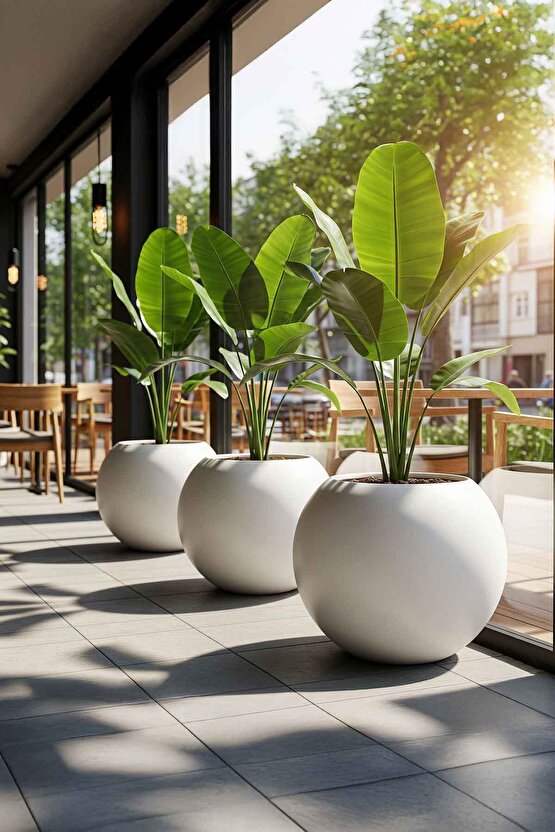 Aura Sphere Fiber Küre Saksı - Çap 50cm x Yükseklik 40cm Orta Boy