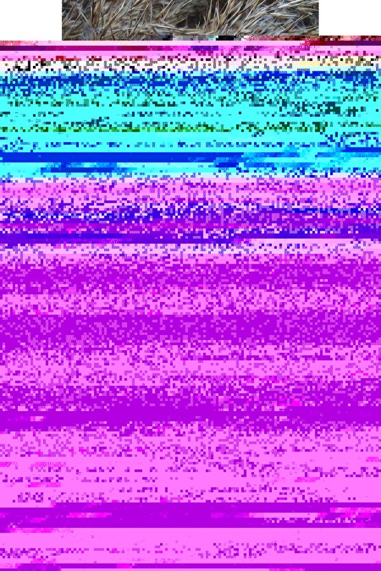 Unisex Bisiklet Yaka Baskılı Oversize T-Shirt - Siyah