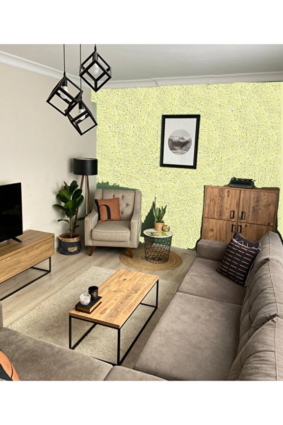 Organik Ipek Dekoratif Yalıtım Sıvası  Ses  Isı Nem Yalıtımı Izo-020 - 4 M2