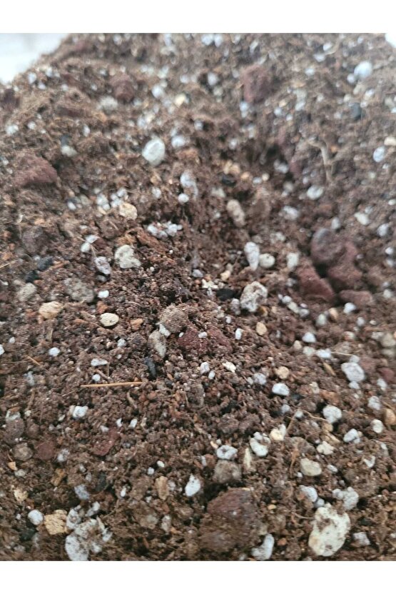 Kaktüs Sukulent Toprağı 1 Litre- Yüksek Kalite, Ithal Torf Karışımlı