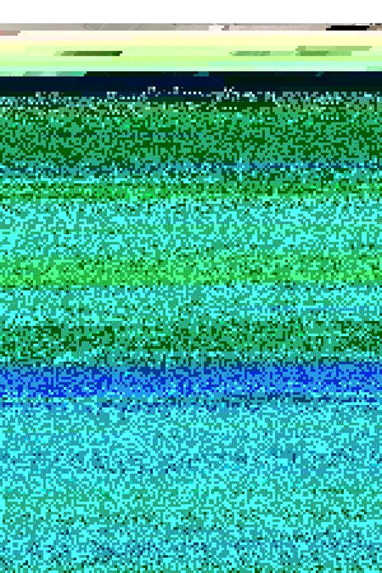 KEDİ PUSETİ-ULTRA LÜKS GOLD KEDİ PUSETİ, KEDİ YATAĞI, KEDİ EVİ