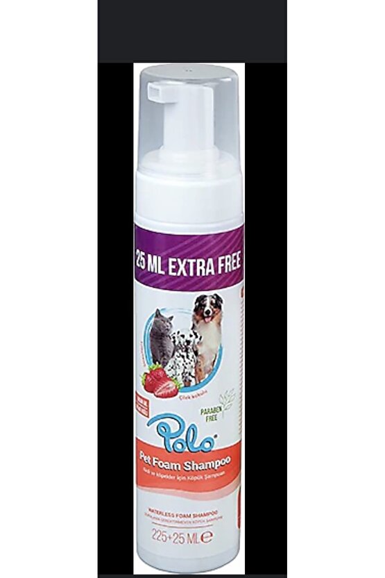 Kadın Yüksek Bel Desenli Dalgıç Pantolon