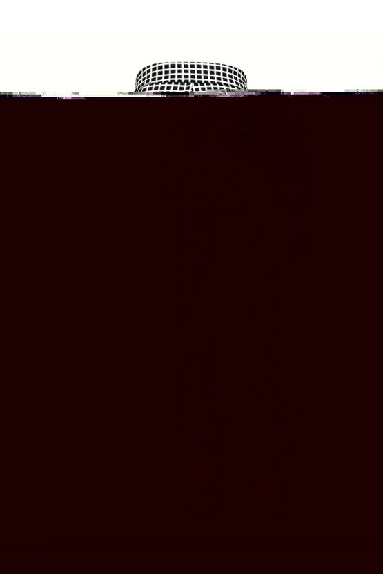 Kadın Yüksek Bel Desenli Dalgıç Pantolon