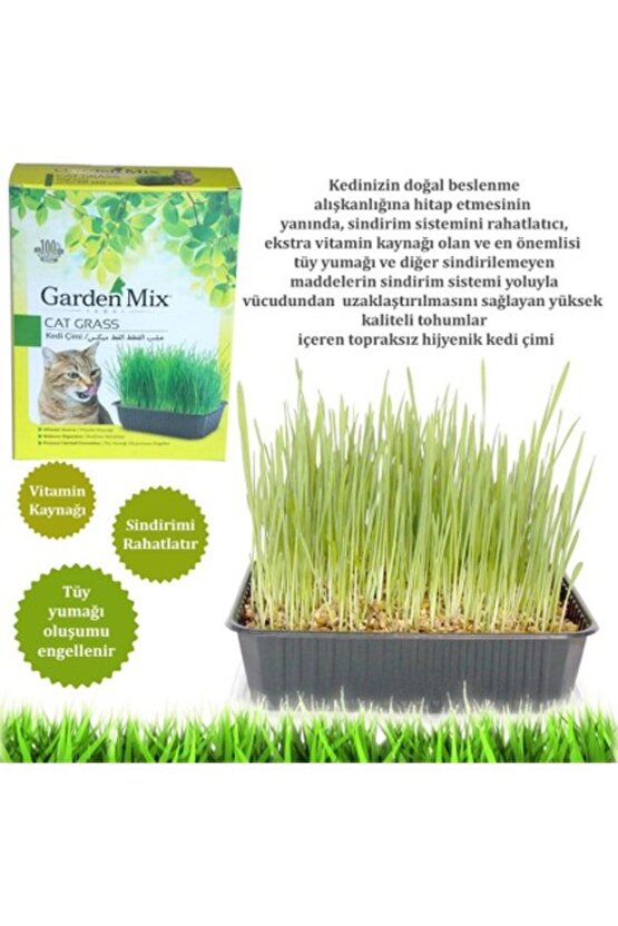 Garden Mix Gardenmix Kedi Çimi