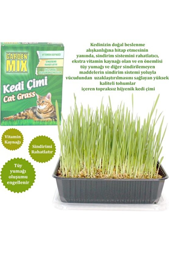 Garden Mix Gardenmix Kedi Çimi