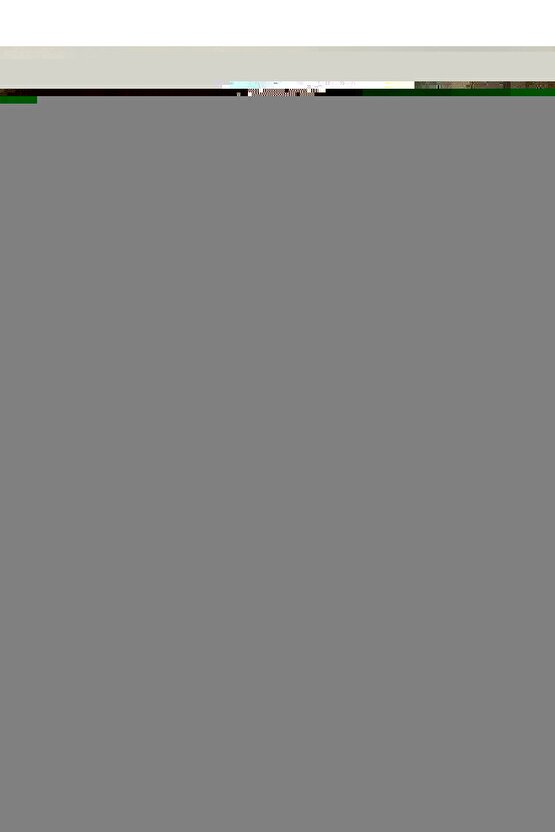 Prim Adr Aderans Arttırıcı Astar 3 Kg