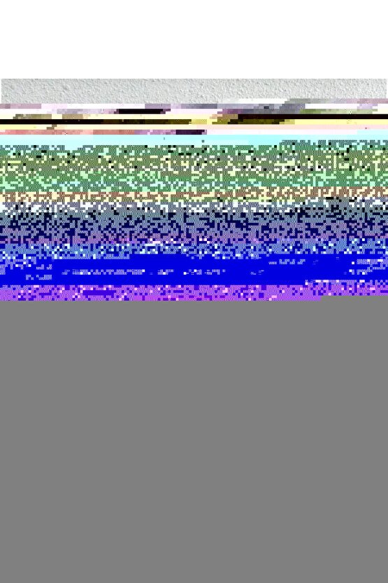 Eco Slim Şişe 750 ml 3lü Set Suluk Matara Çevre Dostu