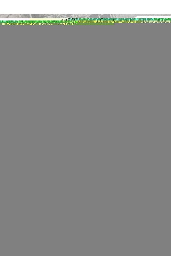 Eco 1 Litre - Siyah Kolay Açılır Kapaklı Suluk Matara Çevre Dostu Su Şişesi