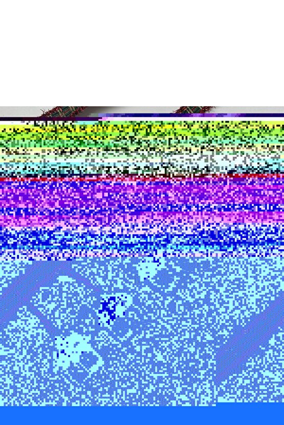 Ev Formunda Epoksi Yılbaşı Ağacı Süsü 6