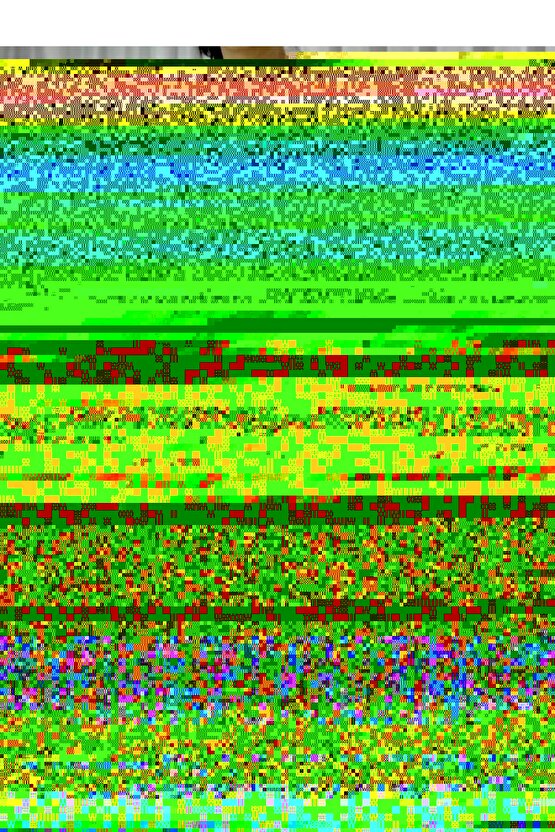 Gisele Tek Kişilik Sandıklı Baza + Full Ortopedik Pedli Yatak + Başlık 3 lü Set