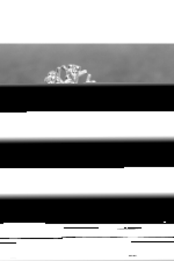 Gri Erkek Koşu Ayakkabısı 3026819-102 UA HOVR Mega Warm