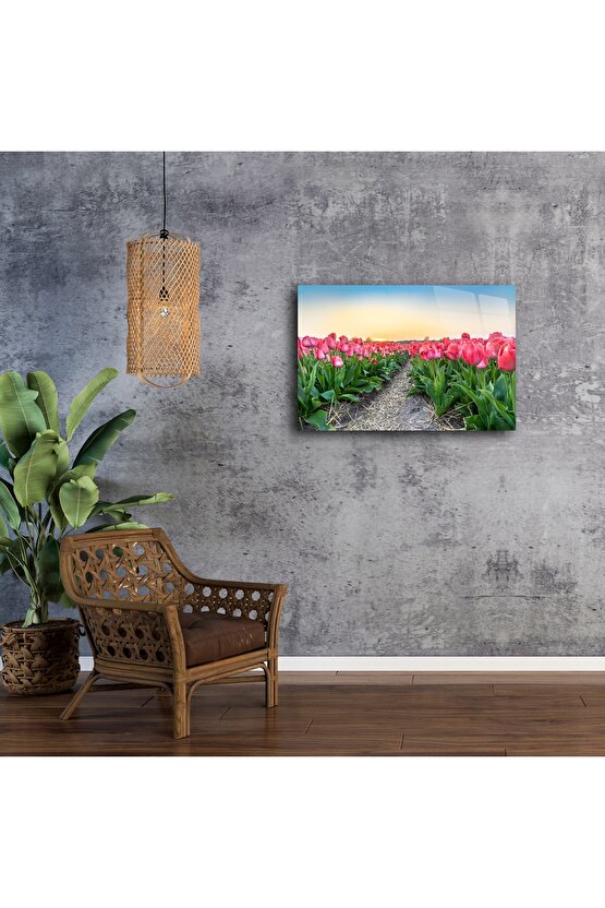 Gün Batımı Lale Tarlası Kanvas Tablo