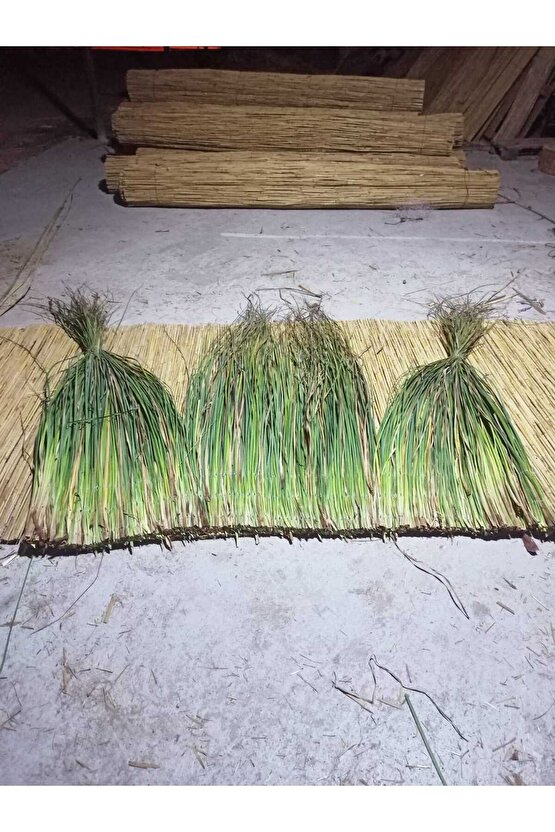 Dekoratif Doğal Püskül Otu, Saçak Otu  Saçak Otu Yükseklik 100 cm x Genişlik 2 Metre