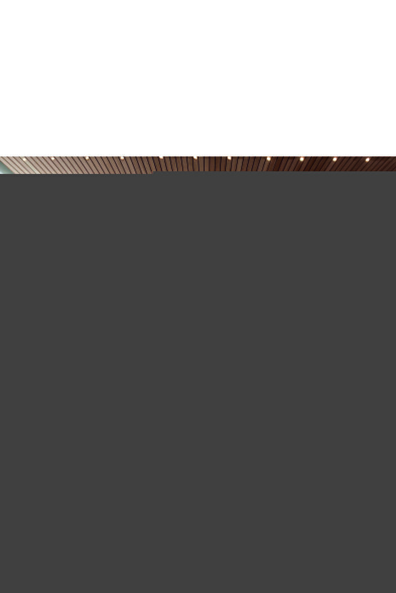 Doğal Kamış Hasır Çit 90 cm X 2.5 m Balkon Çiti Hasır Bambu Çit Bahçe Çiti ve Gölgelik