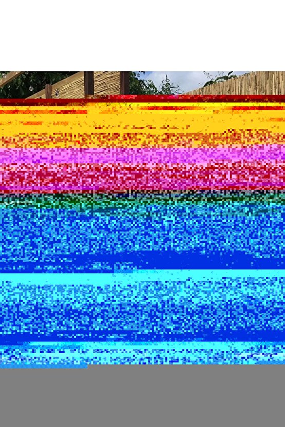 Kaplan Görseli Cam Tablo Duvar Dekoru 1