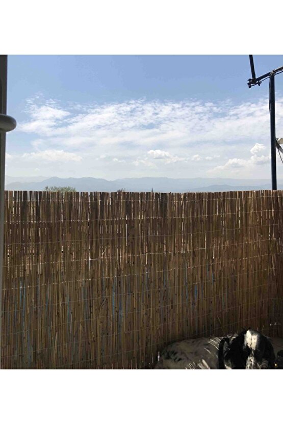 Doğal Kamış Hasır Çit 1,5m X 6m Doğal Bambu -bahçe Çiti - Gölgelik Hasır -tavan Dekorasyon