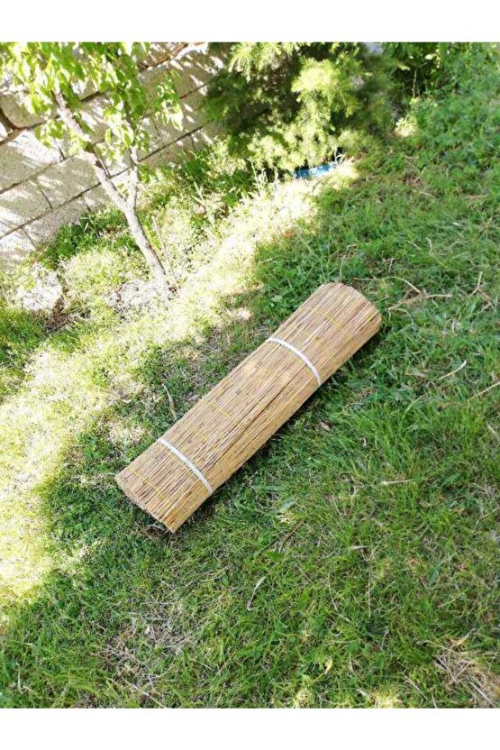 Kamış Hasır 1m x 6m