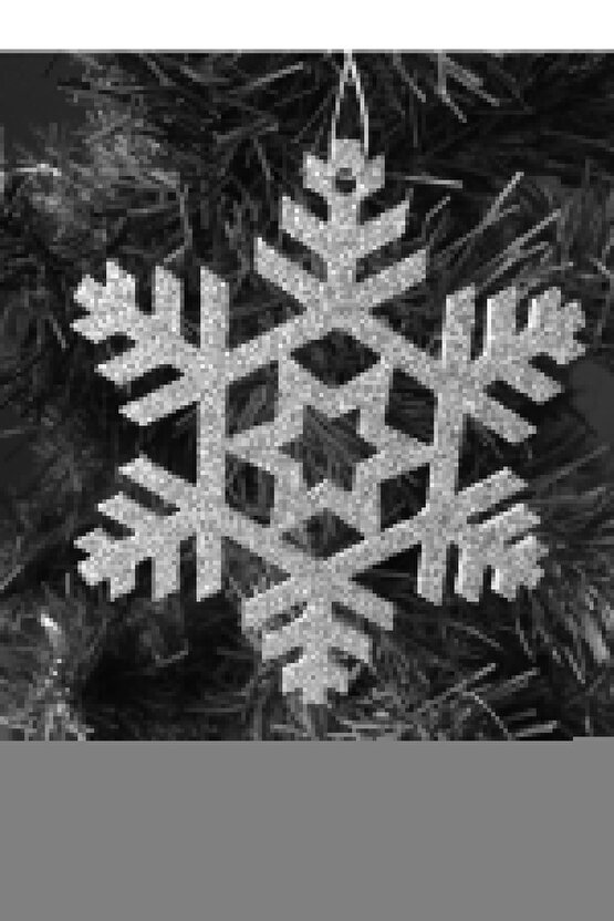 Protector Zor Hava Şartlarına Dayanıklı Asma Kilit 45 Mm