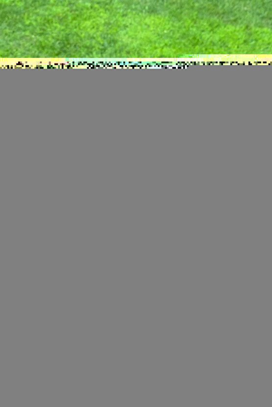 Eco 3lü Mikrofiber Bez