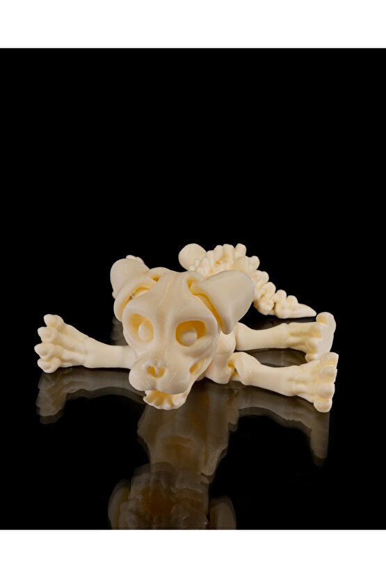 İskelet Köpek (iskelet koleksiyonu)