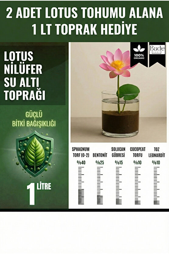 Lotus Çiçeği (Nilüfer) Tohumu - 2 Adet | Toprak Hediyeli (1 LT Su Altı Torf Karışımı)
