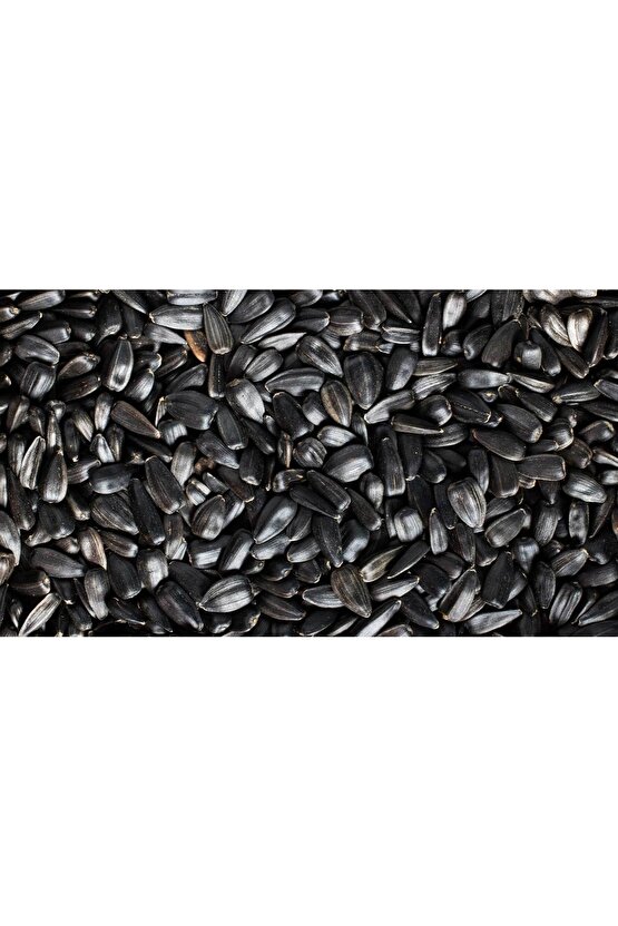 30 Adet Çerezlik Ayçiçeği Tohumu