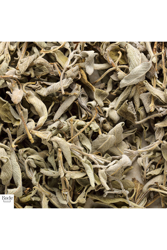 100 gr - Adaçayı (Yeni Mahsül, Elenmiş)