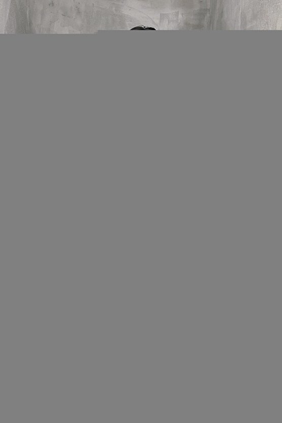 3 Katlı Paravan Metal Paravan Katlanabilir Muayene Masası Paravanı Revir Paravanı